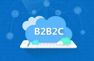 新兴b2b2c产融服务平台上线,缘何吸引后市场眼球